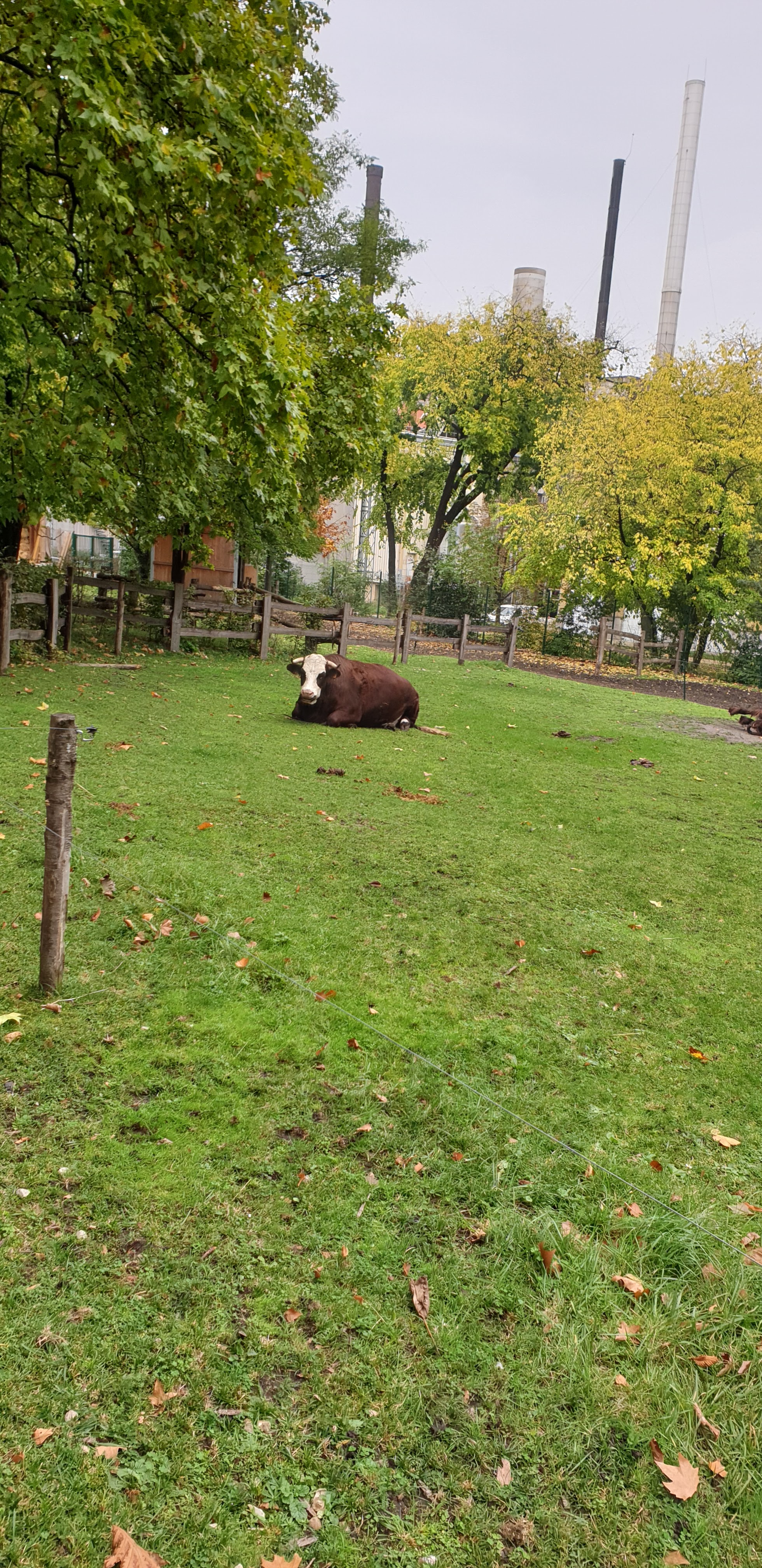 Photo n° 24 de l'avis de Julien.' fait le 23/10/2019 à 14:35
