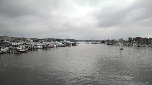 Sporting Goods Store «Fleet Feet Sports Annapolis», reviews and photos, 2572 Solomons Island Rd, Annapolis, MD 21401, USA