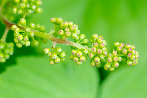 Park «Colby Lake Park», reviews and photos, 9715 Valley Creek Rd, Woodbury, MN 55125, USA