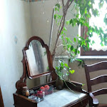 Photo n°4 de l'avis de ALESSANDRO.R fait le 26/05/2022 à 09:01 sur le  Ristorante Borgo Antico - Borgo Vercelli (vc) à Borgo Vercelli