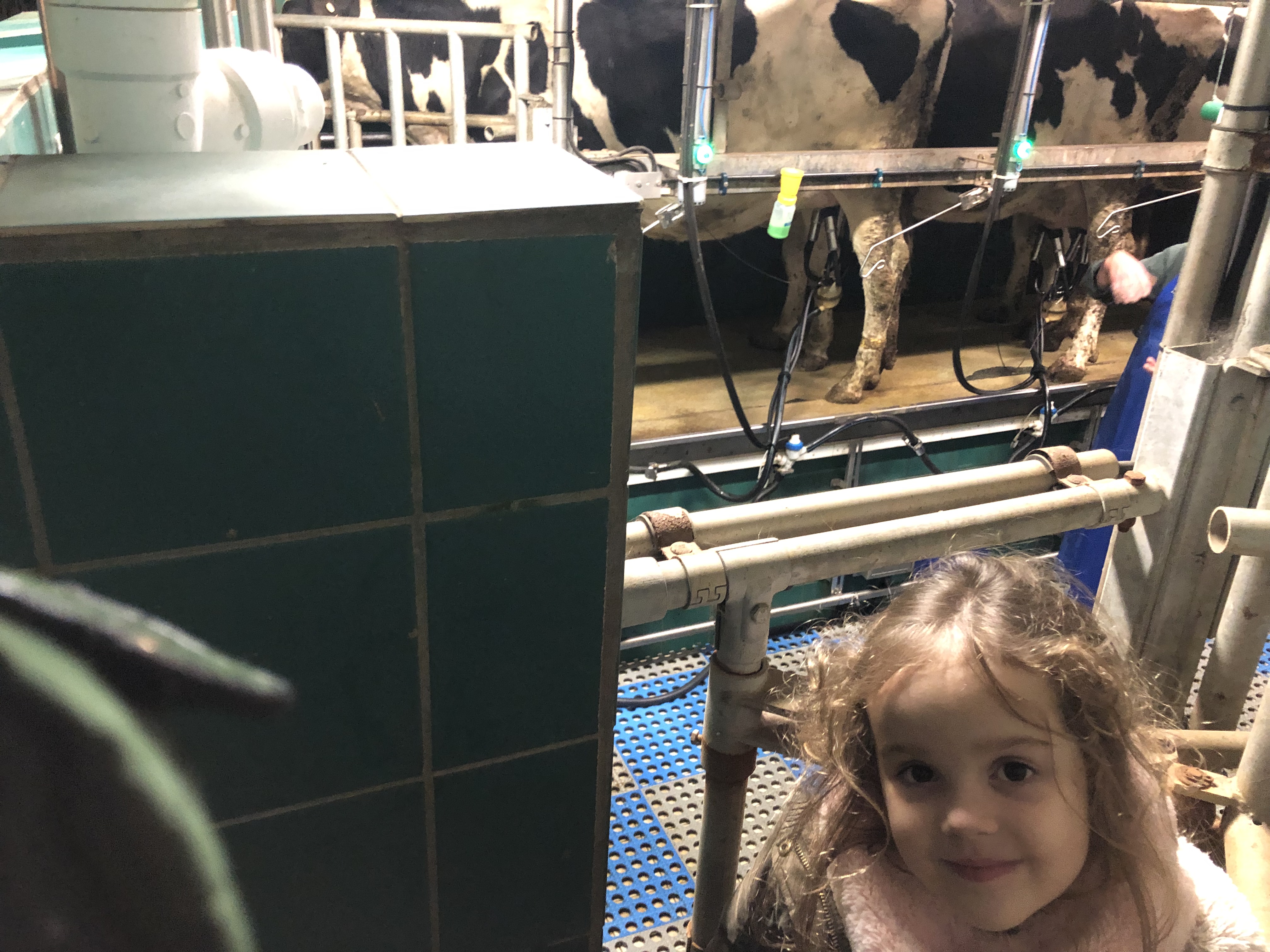 Photo n° 2 de l'avis de Clémence.o fait le 11/01/2022 à 21:36