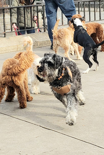 Park «Carl Schurz Park», reviews and photos, East 86th Street & East End Ave, New York, NY 10028, USA