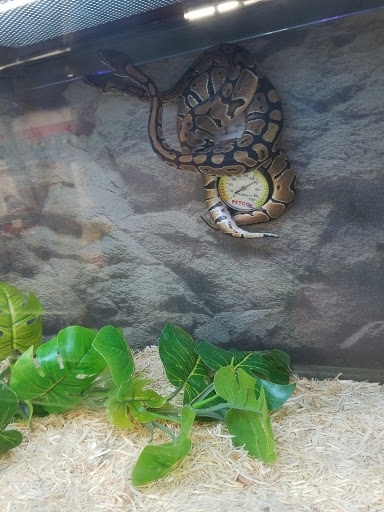 Pet Supply Store «Petco Animal Supplies», reviews and photos, 6425 Keizer Station Blvd, Keizer, OR 97303, USA