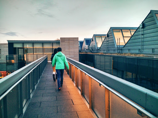 Art Center «Reva and David Logan Center for the Arts», reviews and photos, 915 E 60th St, Chicago, IL 60637, USA