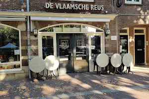 De Vlaamsche Reus B.V. image