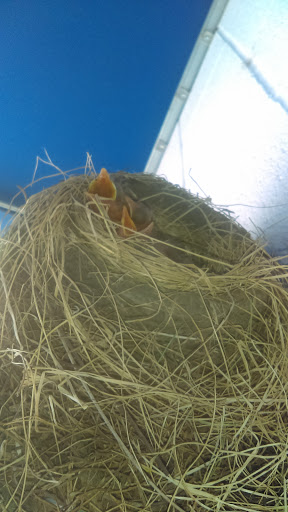 Commercial Printer «Henry Wurst, Inc. Kansas City», reviews and photos, 1331 Saline St, North Kansas City, MO 64116, USA