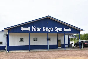 Your Dog's Gym image
