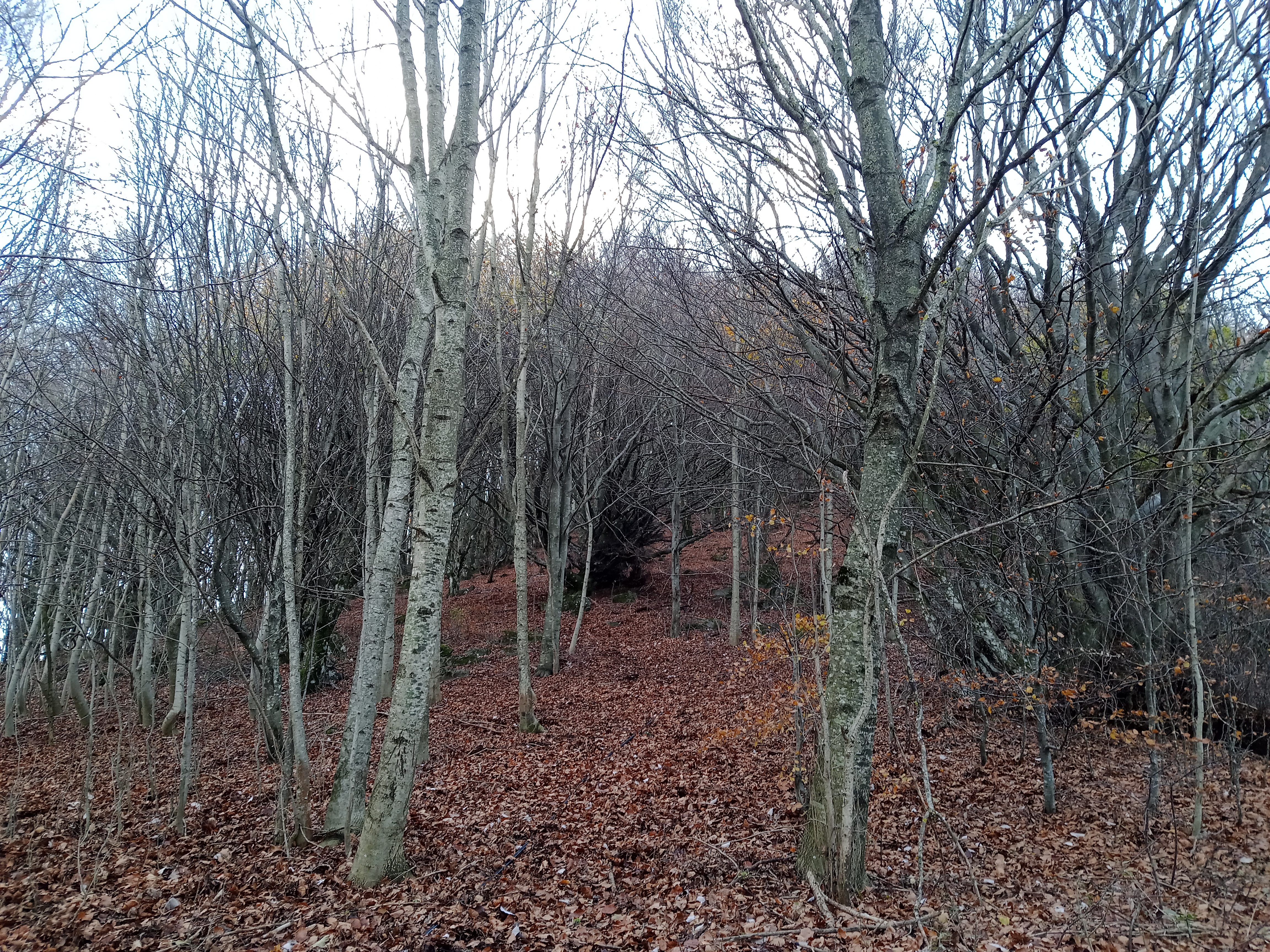 Photo n° 2 de l'avis de Looping.o fait le 20/11/2022 à 11:45