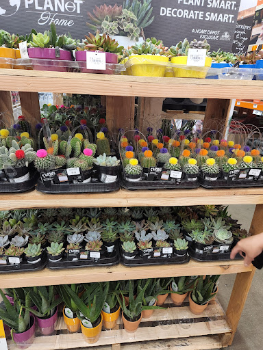 Home Improvement Store «The Home Depot», reviews and photos, 2461 N Richmond Rd, McHenry, IL 60051, USA