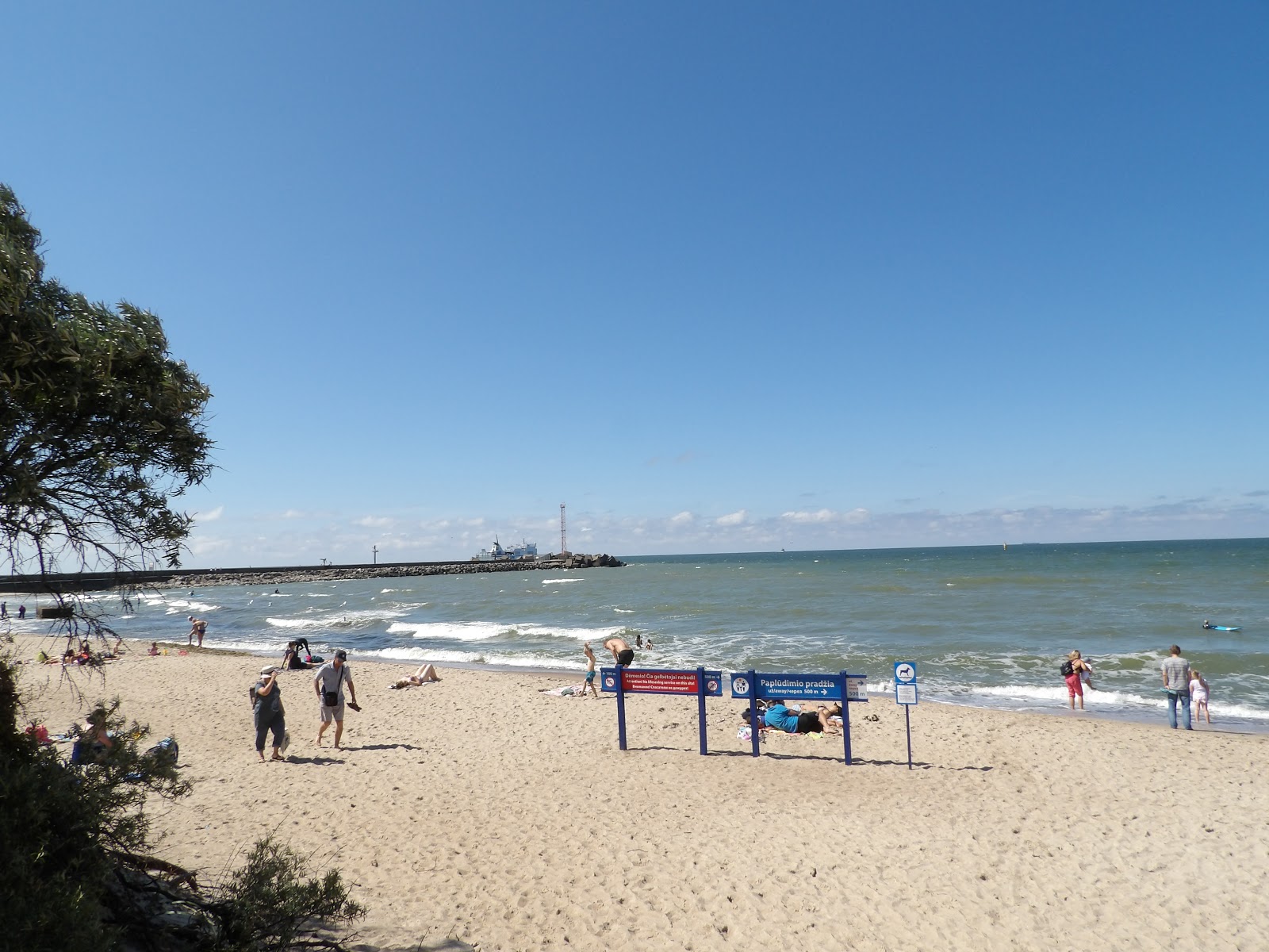 Pets' Beach的照片 带有碧绿色水表面