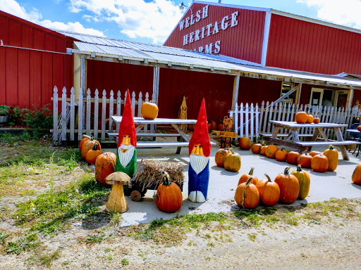 Produce Market «Welsh Heritage Farms», reviews and photos, 20758 528th Ave, Lake Crystal, MN 56055, USA