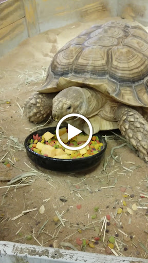 Pet Store «Pet World Warehouse Outlet», reviews and photos, 2148 W Beltline Hwy, Madison, WI 53713, USA