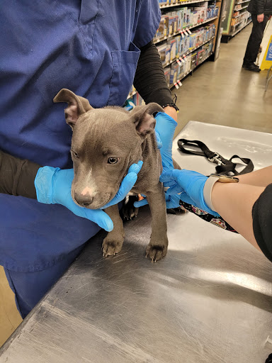 Pet Supply Store «Pet Supplies Plus», reviews and photos, 126 E Main St, Smithtown, NY 11787, USA