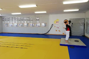 Alingsås Judoklubb image