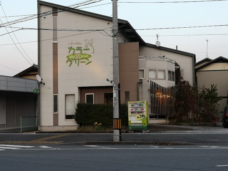 カラーアンドグリーン坂下店