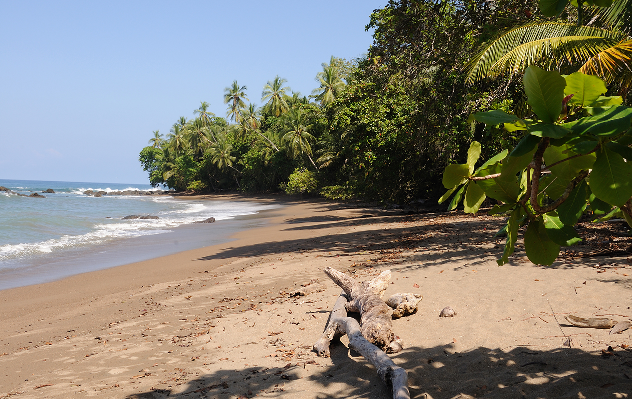 San Josecito Rincon Beach'in fotoğrafı uçurumlarla desteklenmiş