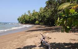 San Josecito Rincon Beach'in fotoğrafı uçurumlarla desteklenmiş