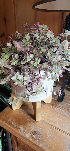 Florist «The Garden», reviews and photos, 155 Main St N, Woodbury, CT 06798, USA