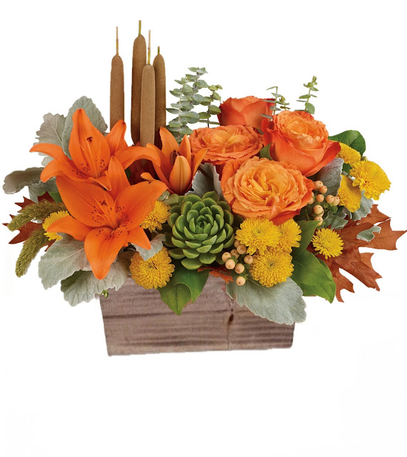 Infinity Flowers Inc.