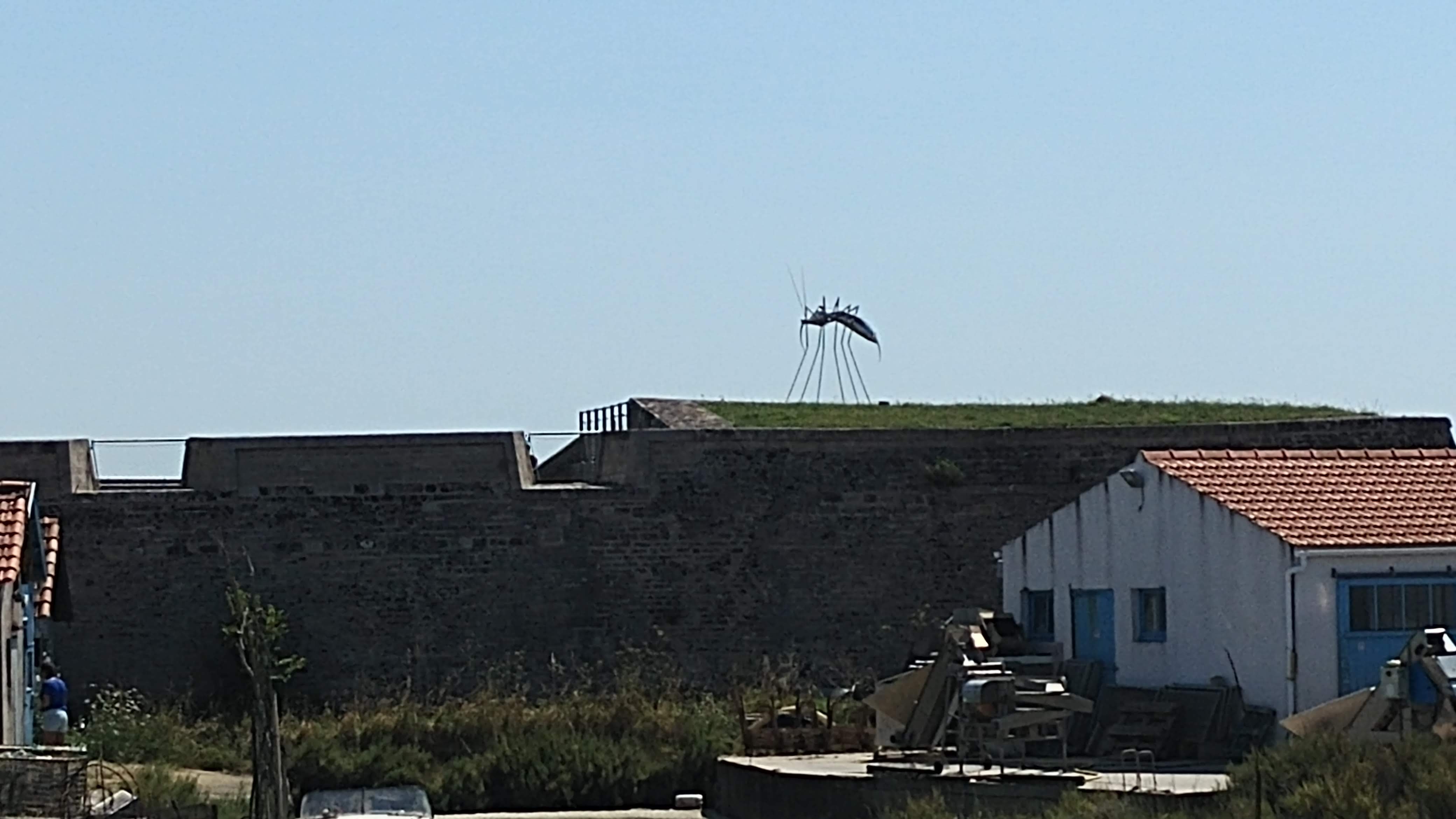 Photo n° 6 de l'avis de Yannick.r fait le 14/07/2018 à 09:46