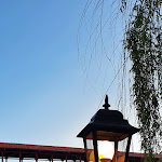 Photo n°1 de l'avis de Marco.a fait le 11/04/2022 à 11:32 sur le  Ostaria Ca' Brando à Bassano del Grappa