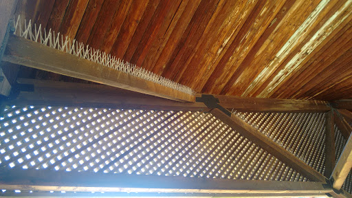 Tourist Attraction «Portland by Segway Tours», reviews and photos, 150 SW Harrison St, Portland, OR 97201, USA