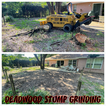 Deadwood Stump Grinding LLC