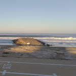 Photo n°1 de l'avis de Lucas.a fait le 24/11/2020 à 20:06 sur le  Casa da Mata SurfHouse à Costa da Caparica