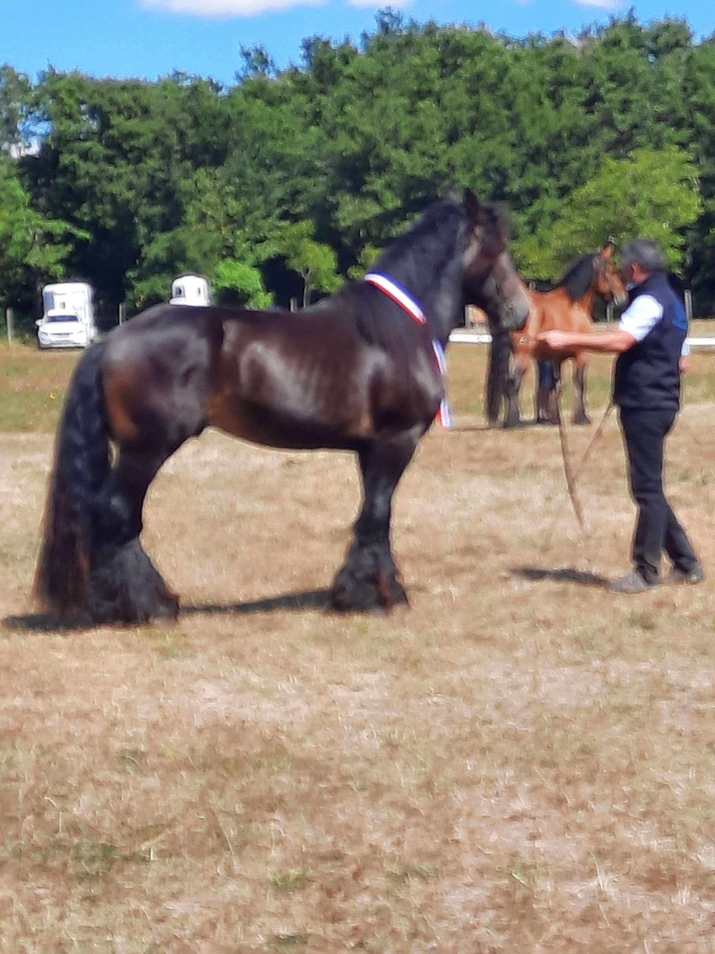Photo n° 2 de l'avis de Marielle.a fait le 29/08/2020 à 17:32