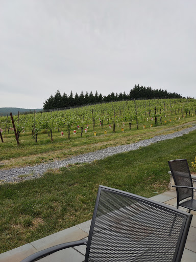 Vineyard «Catoctin Breeze Vineyard & Winery», reviews and photos, 15010 Roddy Rd, Thurmont, MD 21788, USA