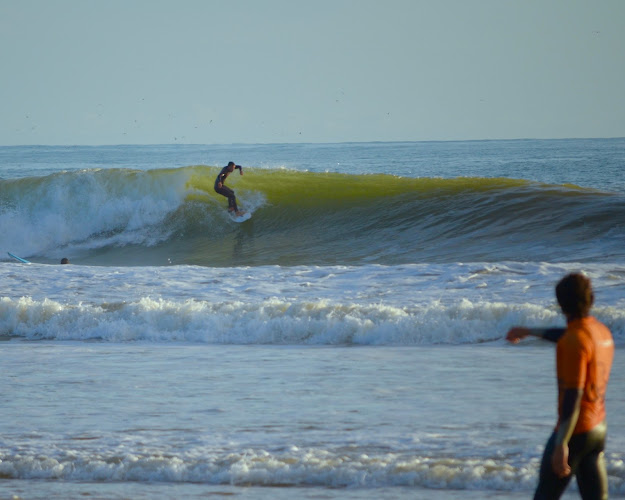 Avaliações doVilamoura Surf Project - Cimav Surf em Loulé - Escola