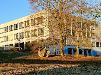 Collège Amilcar Zannoni