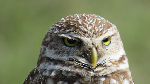 950 NW 38th St, Oakland Park, FL 33309, USA