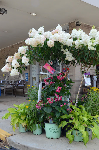 Hardware Store «Stanford Home Centers», reviews and photos, 2001 PA-286, Pittsburgh, PA 15239, USA