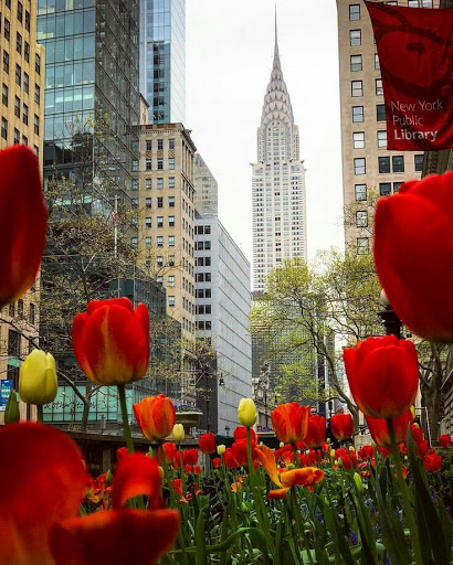  «Chrysler Building», reviews and photos, 405 Lexington Ave, New York, NY 10174, USA