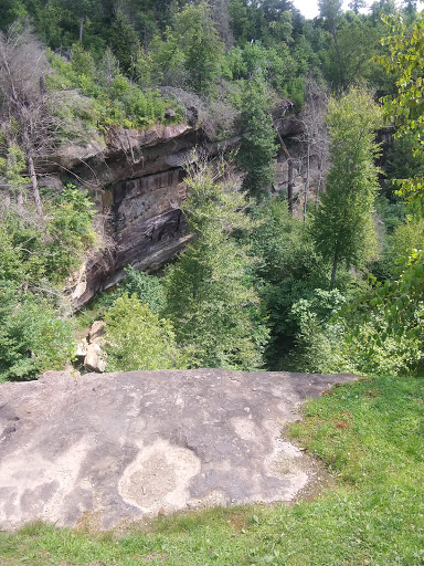 Cruise Agency «Belle of Louisville», reviews and photos, 401 W River Rd, Louisville, KY 40202, USA