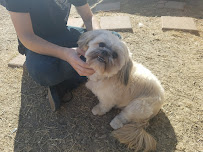 Net's Happy Pets - Photo 2 - Car repair in Ponder, TX, Denton