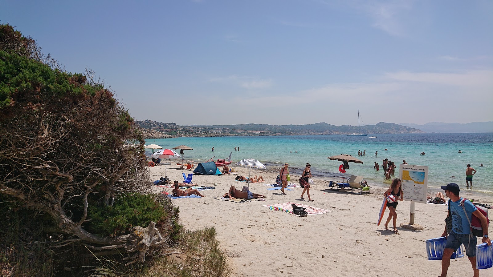 Foto van Spiaggia Rena di Levante wilde omgeving