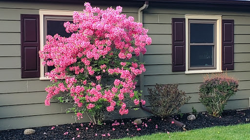 Coffee Shop «Starbucks», reviews and photos, 944 Fairmount Ave, Jamestown, NY 14701, USA