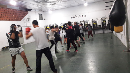 Escuela De Boxeo Marcos Martinez
