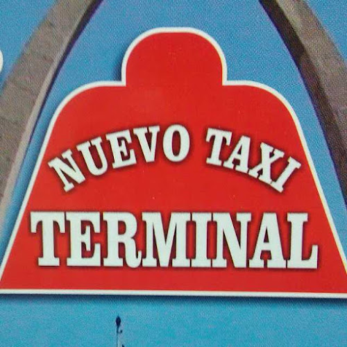 Opiniones de Radio Taxi Nuevo Terminal en Tacna - Servicio de taxis