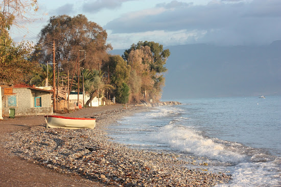 Paraliaki odos