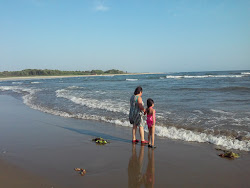 Playa Palapa'in fotoğrafı ve yerleşim