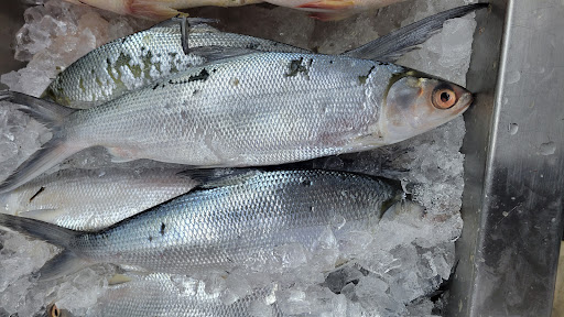 Grocery Store «Ben Thanh Plaza and Central Market», reviews and photos, 1818 E Pioneer Pkwy #100, Arlington, TX 76010, USA