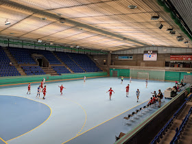 Saalsporthalle