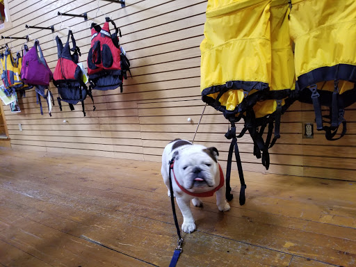 Outdoor Sports Store «Cadillac Mountain Sports», reviews and photos, 32 High St, Ellsworth, ME 04605, USA