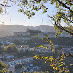 Photo n°4 de l'avis de Gian. fait le 20/11/2023 à 06:12 sur le  La Sciarbonata à Montalbano Elicona