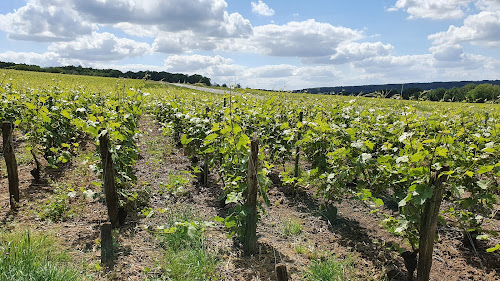 Bombart Hervé à Saâcy-sur-Marne