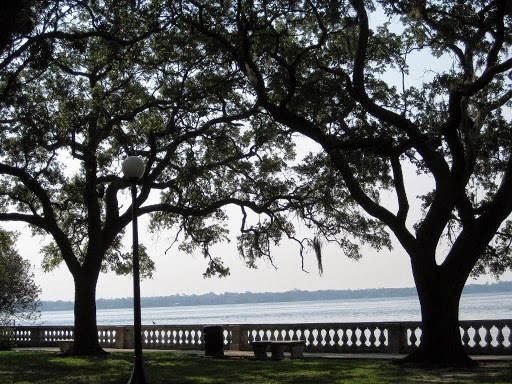 Personal Injury Attorney «Rosenberg Calvin, P.A.», reviews and photos