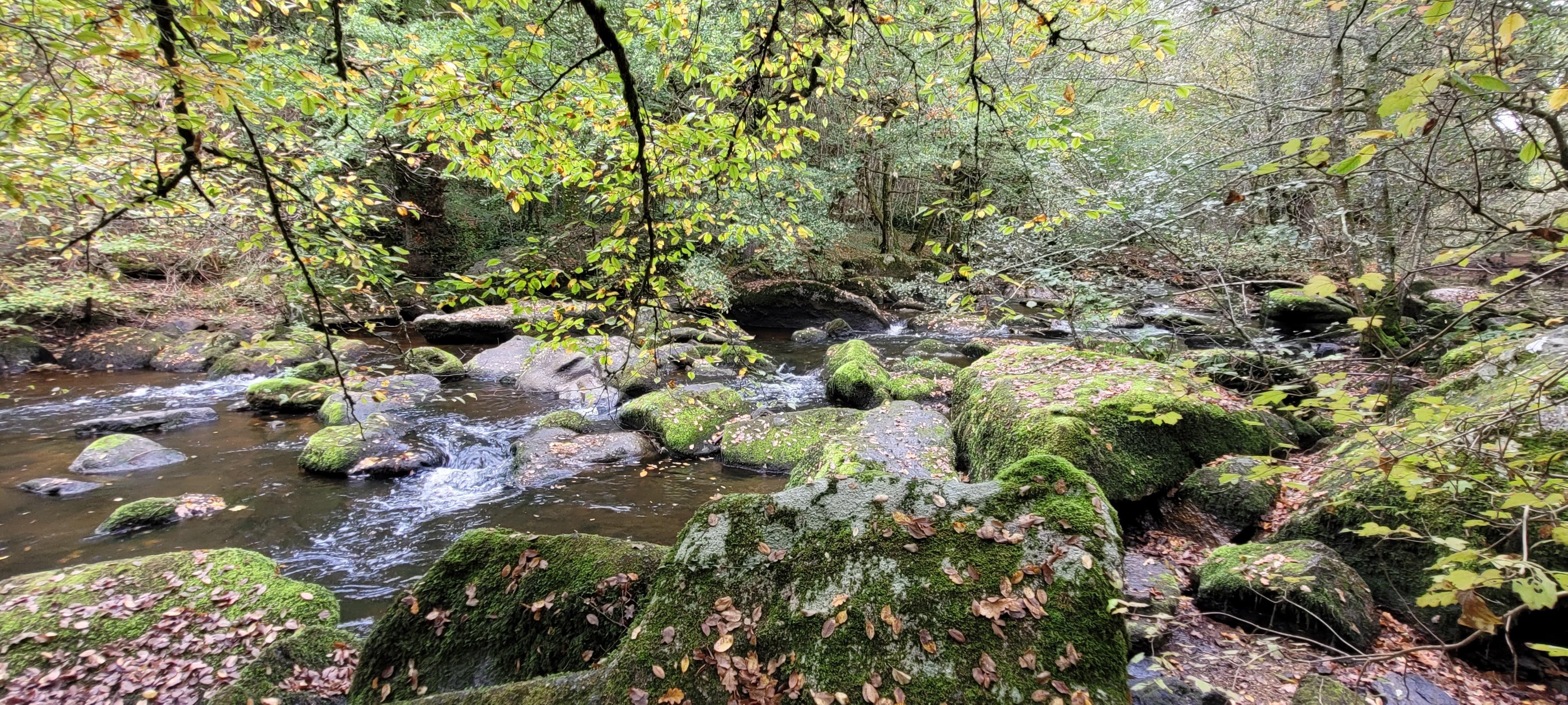 Photo n° 16 de l'avis de Christian.a fait le 30/10/2022 à 11:08